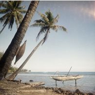 Pirogue de pêche tahitienne, équipée d'un balancier, installée sur des poteaux. Une nasse est accrochée au tronc d'un cocotier.