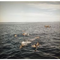 Moment de baignade dans le lagon de Moruroa pour des membres de l'équipage du transport de chalands de débarquement (TCD) Ouragan (L9021).