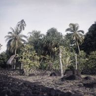 Tiki de Mareva. A la pointe Vénus à Mahina.