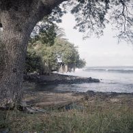 Rivage et filet de pêcheurs au séchage sur les branches d'un arbre.