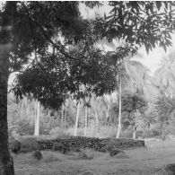 Marae, plateforme souvent construite en pierres volcaniques où se déroulaient les anciens cultes polynésiens, à Tahiti.