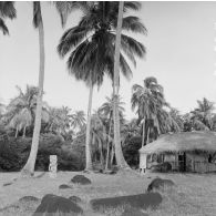 Tiki (sculpture à forme humaine) dans un marae, espace souvent construit en pierres volcaniques où se déroulaient les anciens cultes polynésiens, à Tahiti.