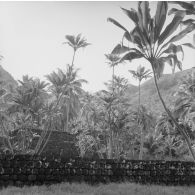 Marae, plateforme souvent construite en pierres volcaniques, où se déroulaient les anciens cultes polynésiens, avec des sculptures (tiki) à Tahiti.