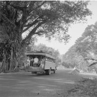 Autobus à Tahiti.