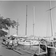 Voiliers au port de plaisance de Papeete. En arrière-plan, l'île de Moorea.