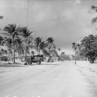 Installations du Centre d’expérimentations du Pacifique (CEP) sur l'atoll d'Hao. Route et baraquements.