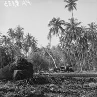 Tracto-pelle et militaire du 5e régiment mixte du Pacifique (5e RMP) travaillant à la déforestation d'une cocoteraie, camp d'Arue ou centre du commissariat à l'énergie atomique (CEA) de Mahina, 1964.