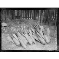 (Vierge Clarisse. (Sud-est de Badonviller)). Sous un bois en Alsace. Arrivée des torpilles. [légende d'origine]