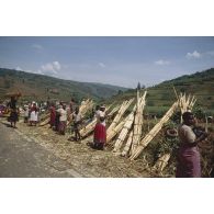 Camp de réfugiés de Nyacyonga sur la route de Byumba à 10 km de Kigali. Transport de fagots par les réfugiés.