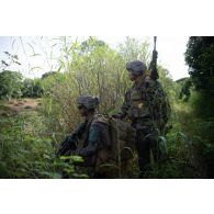 Des marsouins du 21e régiment d'infanterie de marine (RIMa) progressent dans un champ de N'Gazobil, au Sénégal.