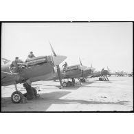 L'avion P-40 au banc d'essai à sa sortie de la chaîne de montage.