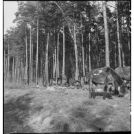 Des goumiers d'une unité de tabors marocains ont établi un bivouac en forêt de Gebersheim.