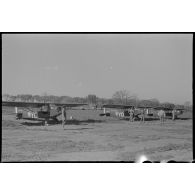 Centre des Piper Cub en Italie.