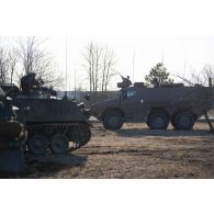 Un véhicule blindé multi-rôles (VBMR) Griffon de la 13e demi-brigade de la légion étrangère (DBLE) stationne aux côtés des blindés britanniques Bulldog FV-432 à Tapa, en Estonie.