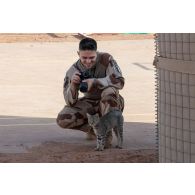 Portrait de l'officier image Thibaut de l'ECPAD avec un chat à Alguelal, au Niger.