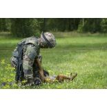 Moment de complicité entre un chien et son maître avant un entraînement opérationnel du 132e BCAT (bataillon cynophile de l'armée de Terre).