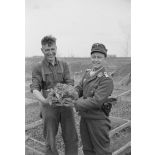 Dans une ferme réquisitionnée par la Luftwaffe, deux aviateurs présentent une salade, à droite le sous-lieutenant est un membre de la 1re compagnie de propagande de l'armée de l'air allemande.