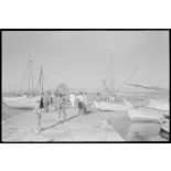 Dans un port de l'île de Naxos, déchargement de navires de pêche.