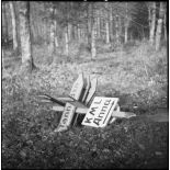 Panneau indicateur allemand renversé dans un bois dans les environs de Belfort.