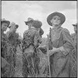 Arrestation de partisans du Vietminh dans une rizière par des éléments du 43e régiment d'infanterie coloniale au cours de l'opération Tourbillon 2 en plaine des Joncs.
