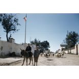 [Algérie, 1956-1958. Jeunes Algériens avec un âne dans la rue d'un village.]