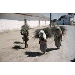 [Femmes algériennes portant des fagots de bois, 1956-1958.]