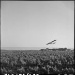 Un appareil d'observation Morane Saulnier 500 Criquet survole des vignes.