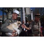 Le lieutenant-colonel Yves Derville, chef de corps du 2e REI  (régiment étranger d'infanterie), salue le chien Scud, mascotte de l'unité, dans les bras d'un légionnaire devant les grilles du quartier Colonel de Chabrières.