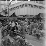 Marchands de gui dans une rue de Bab El Oued.