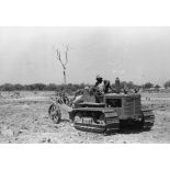 République du Sénégal, Sefa, 1954. Culture mécanisée de l'arachide. Soussolage d'une parcelle.