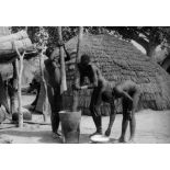 République centrafricaine, 1949. Pileuses de mil.
