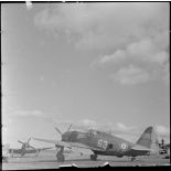 P-47 du groupe de chasse II/3 