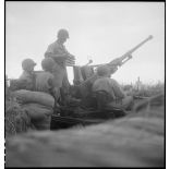 Pièce d'artillerie anti-aérienne Bofors 40 mm en position de tir près du lac de Bizerte en Tunisie.