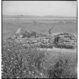 Pièce d'artillerie anti-aérienne camouflée par des filets de camouflage près de Bizerte.