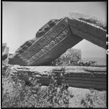 Tigzirt, juillet 1962. Reliefs sculptés de la civilisation romaine, témoin de la présence chrétienne. [légende d'origine]