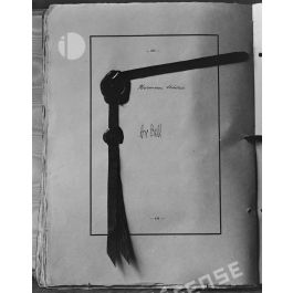 ImagesDéfense Pages du traité de Paix 1919. [légende d'origine]