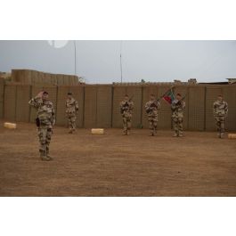 ImagesDéfense Le lieutenantcolonel Gérald Friedrich du 14e régiment