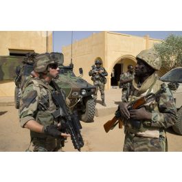 ImagesDéfense Le commandant des éléments français au Sénégal EFS discute avec son homologue