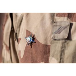 ImagesDéfense Insigne du groupement tactique désert logistique (GTD