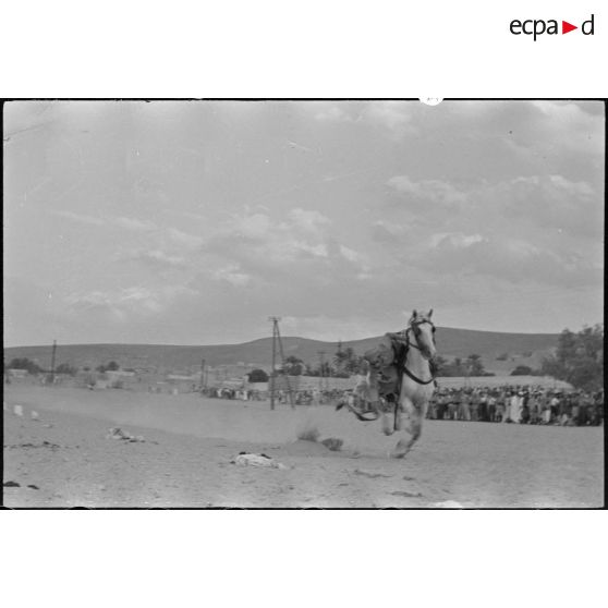 Démonstration équestre d'un cavalier au galop, sous le regard d'autorités militaires et de la population civile.