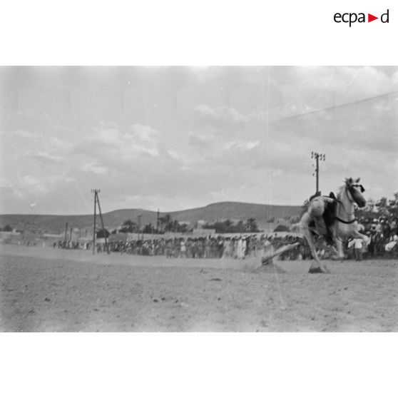 Démonstration équestre d'un cavalier au galop, sous le regard d'autorités militaires et de la population civile.