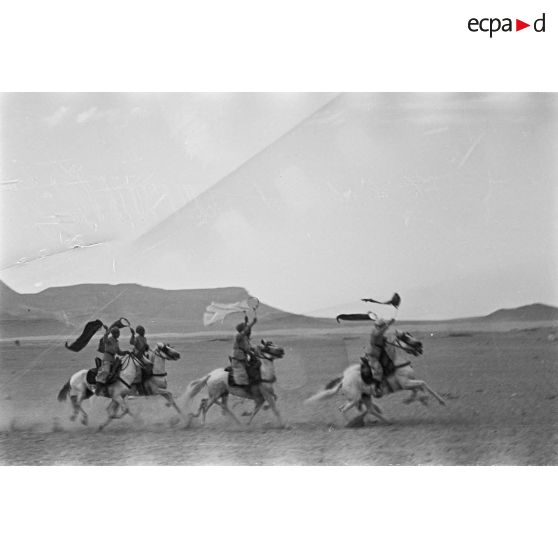 Démonstration équestre de cavaliers au galop dans une étendue désertique.