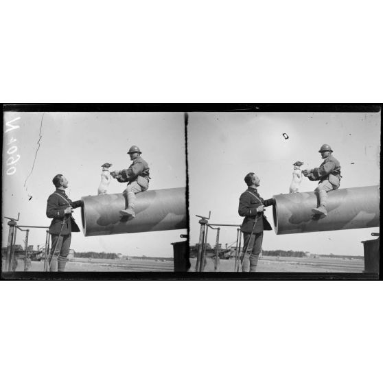 Près Mourmelon-le-Petit (Marne). La mascotte d'une batterie de 400 (avril 1917). [légende d'origine]