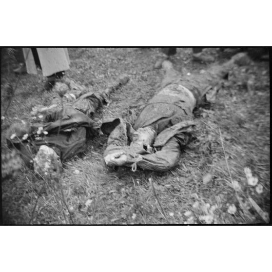 Exhumation de corps de résistants du maquis de Magny Danigon par des prisonniers allemands.