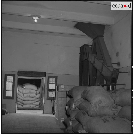 Entrepôt à Maison-Carrée.