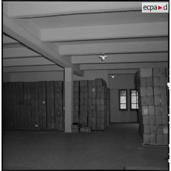 Entrepôt de cartons à Maison-Carrée.