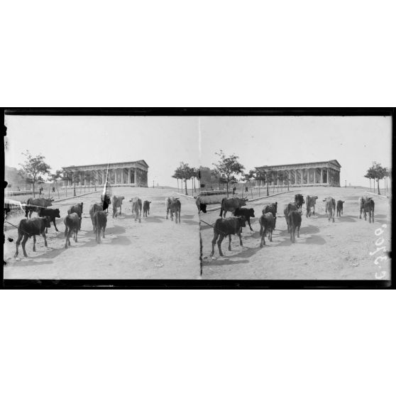 Athènes. En montant au temple de Thesée. [légende d'origine]