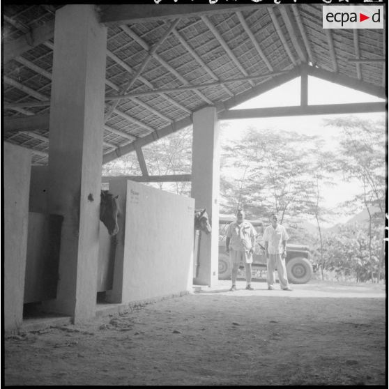 Hangar pour l'élevage des chevaux. Au fond à gauche, M. Bordier, chef de la station d'élevage et d'agriculture du pays Thaï.