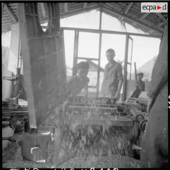 Atelier de menuiserie à l'école d'apprentissage de Lai Chau.