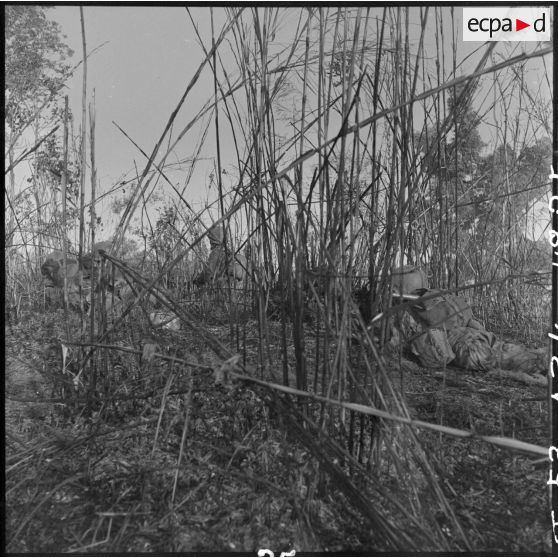 Contre-attaque de parachutistes du 2e GAP (groupement aéroporté) qui progressent par bonds courts sous les tirs des armes Viêt-minh.